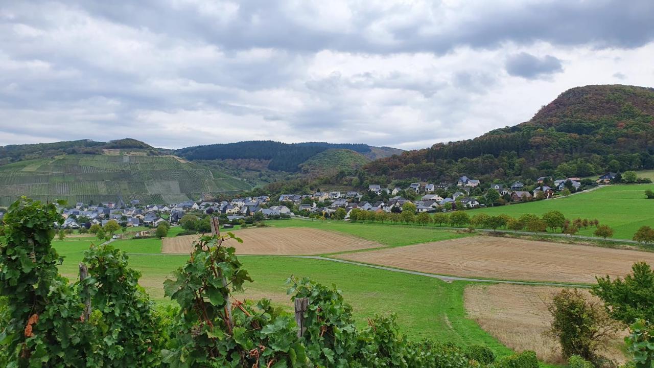 Ferienwohnung Im Moseltal Veldenz Bagian luar foto